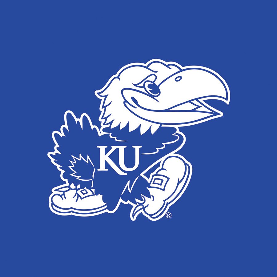 Kentucky University Blue and white bandanna