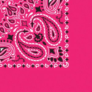 B22PAI-100039-Hot Pink Paisley Imported 100% Cotton